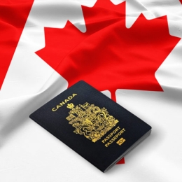 L’ARISF : Au service des immigrants de la capitale à plusieurs niveaux