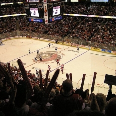 Les Sénateurs d’Ottawa décrochent leur place en séries