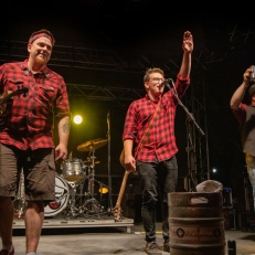 Pays Sauvage : Un quatrième album pour nos Rats d’Swompe préférés !!