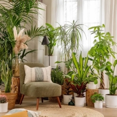 La créativité des plantes avec Michel Gauthier.