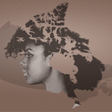 L’histoire des Noirs