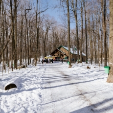 Le Muséoparc Vanier: Au oceur de Vanier depuis près de 25 ans...